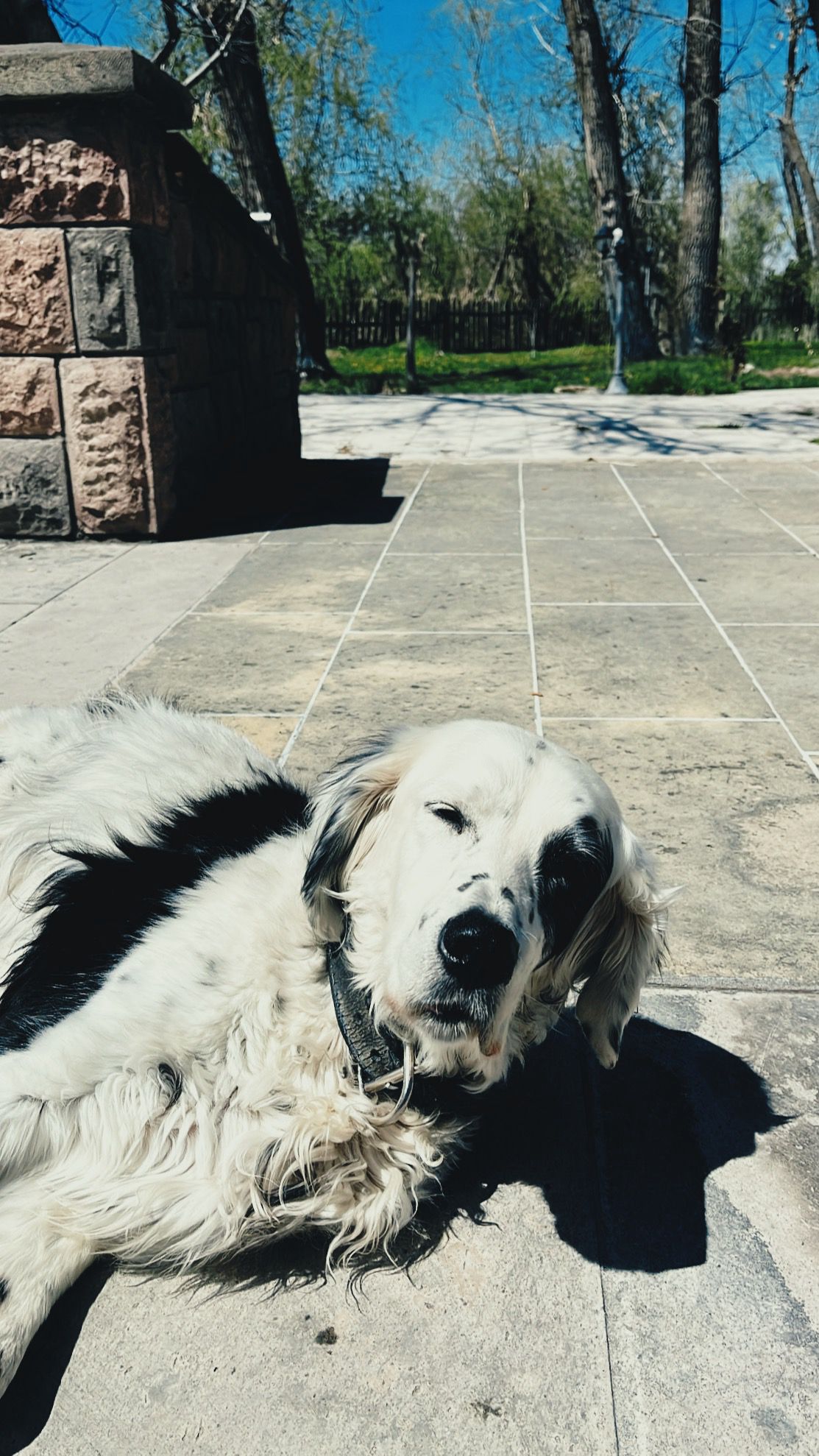 Çiftlik Hayvanları